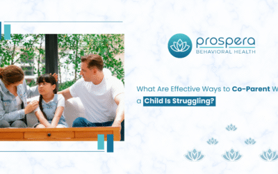 What Are Effective Ways to Co-Parent When a Child Is Struggling?