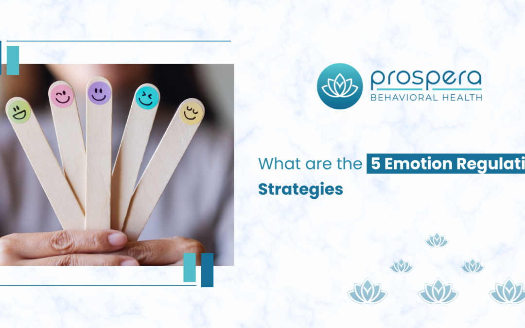 What are the 5 emotion regulation strategies_